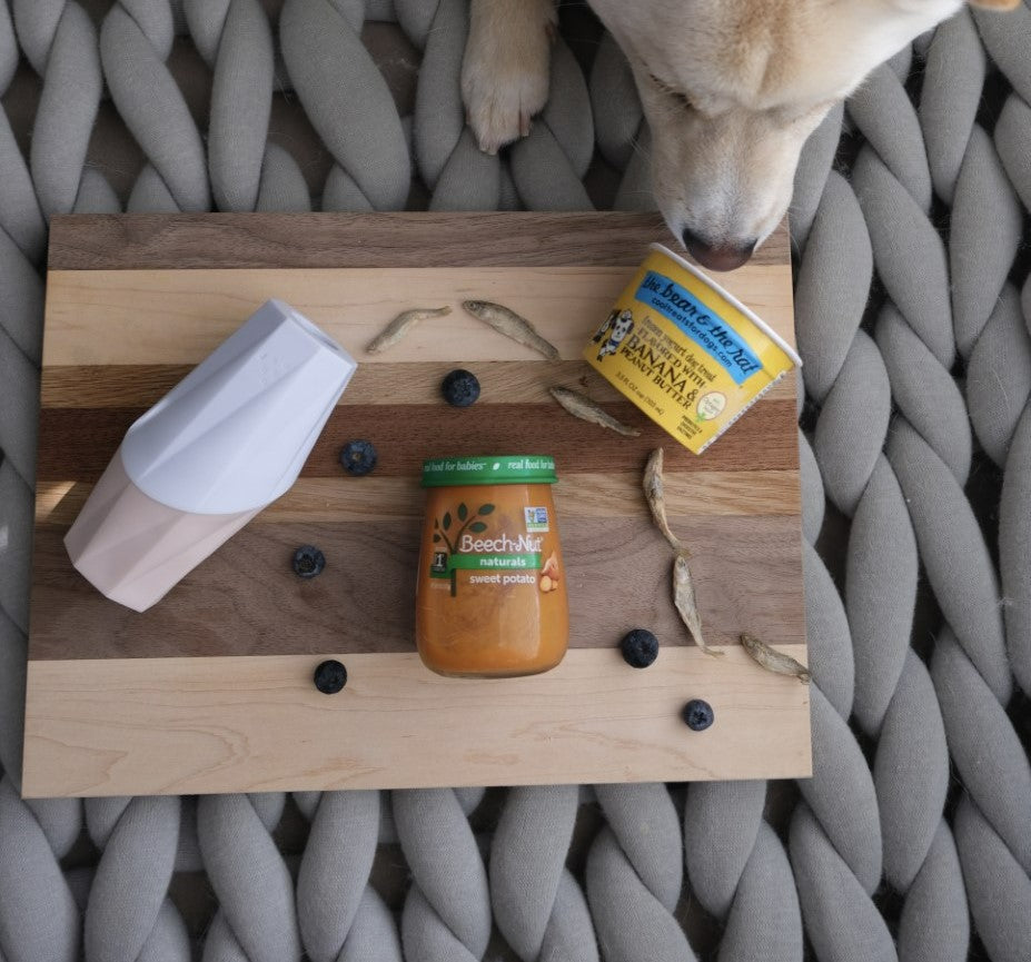 The Ubbe Modern Treat Chew Toy by MUi Pet Company