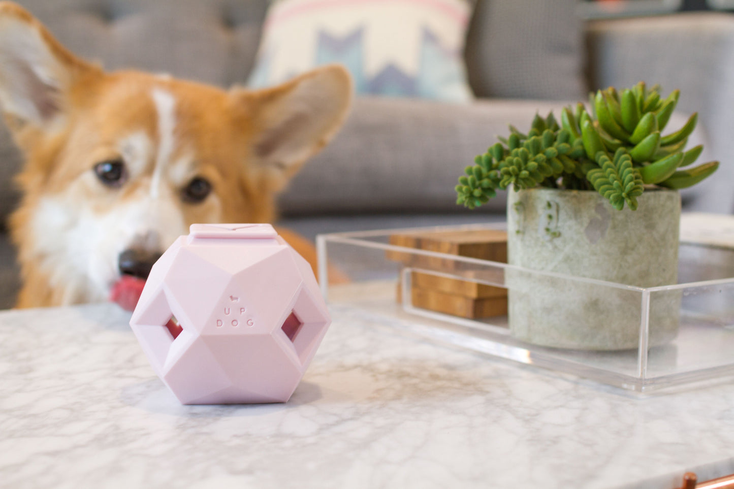 The Odin Modern Interactive Dog Toy By Up Dog Toys