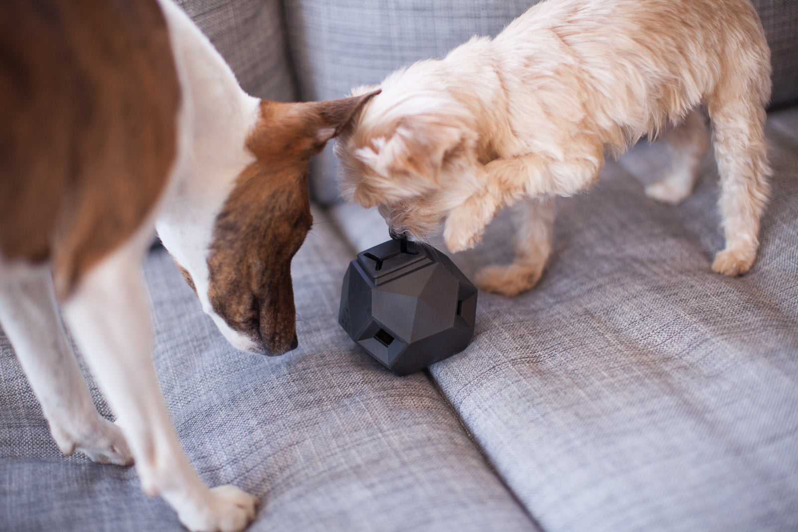 Treat Dispensing Dog Toys - Interactive Dog Toys-Dispenser Treat