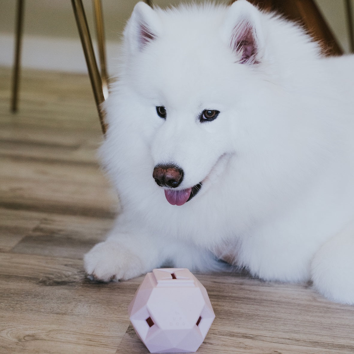 The Odin - Modern Interactive Treat Dispensing Puzzle Toy | MUi Pet Company