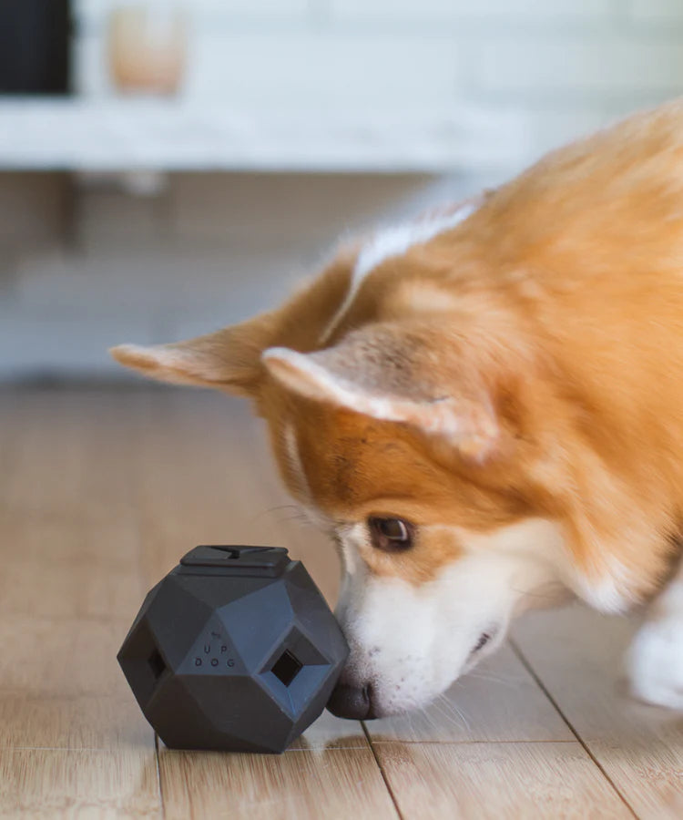 MIAODOUPET Pet Puzzle Toys Interactive Dog Toy Food Dispensing