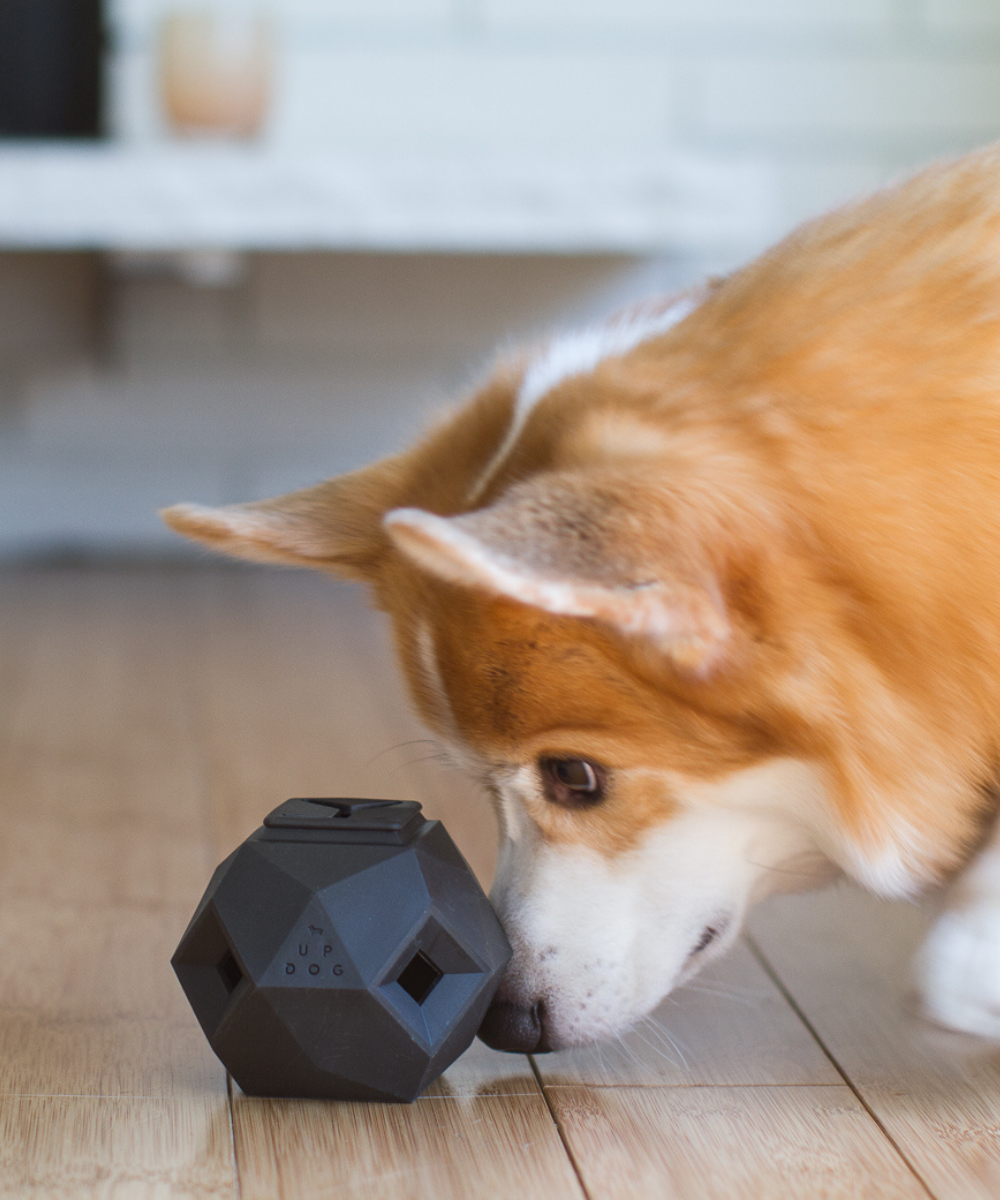 The Odin - Modern Interactive Treat Dispensing Puzzle Toy | MUi Pet Company