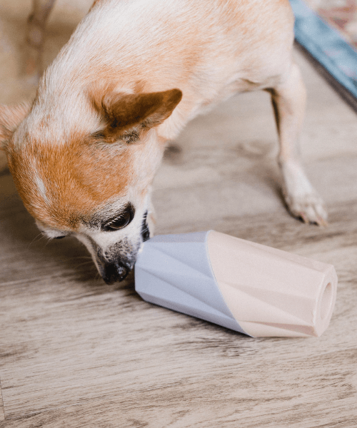 The Ubbe - Treat Filler Chew Toy Made for Dogs & Puppies | MUi Pet Company