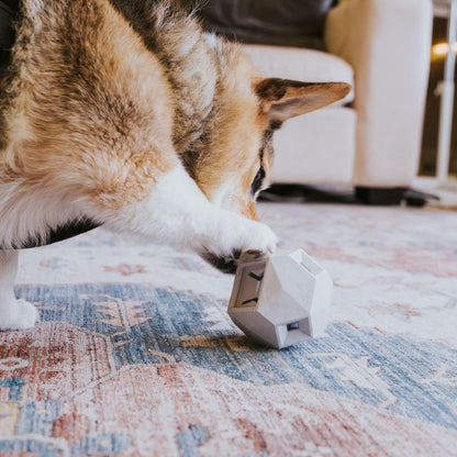 The Odin - Dog Treat Puzzle Toy