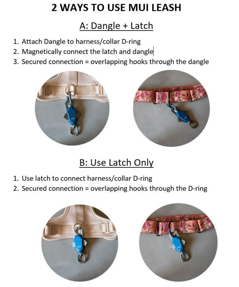 Magic Latch Review - Hands-Free Magnetic Leash and Collar Attachement