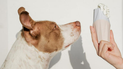 The Ubbe Dog Licker Treat Toy - MUi Pet